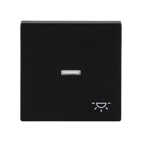 Busch-Jaeger Wippe sw mt mit Symbol Licht 1789 LI-885